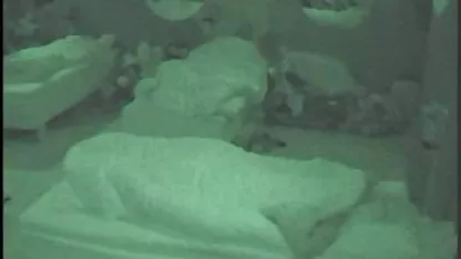 Giường trên dương vật lớn phim sec 1080