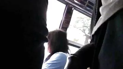 Lúa ﻿phim sec hd mạch với một lớn ngựa trắng