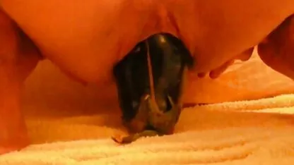 Ông ấy luyện tập với kính mà không đặt áo sơ mi, về với vợ mình và phim sec hay ko che bỏ khuôn mặt của mình